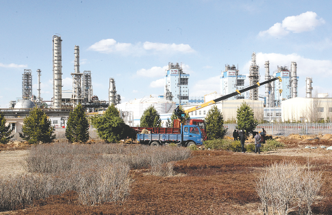 章鱼直播足球比赛在线观看